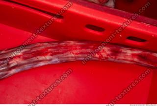 Photo Textures of RAW Bones